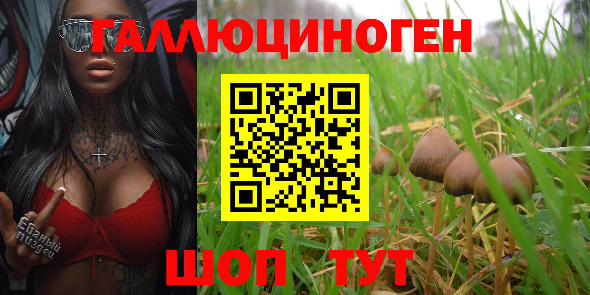 Первоуральск  Псилоцибиновые грибы MAGIC MUSHROOMS  Вход с VPN  Псилоцибиновые грибы GOLDEN TEACHER 